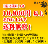 1配送先につき税抜き価格10,800円以上お買い上げで送料無料！