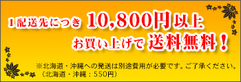 1配送先につき税抜き価格10,000円以上お買い上げで送料無料！